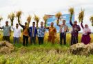 IPB Develops a Boarding Based Rice Ecosystem in Aceh